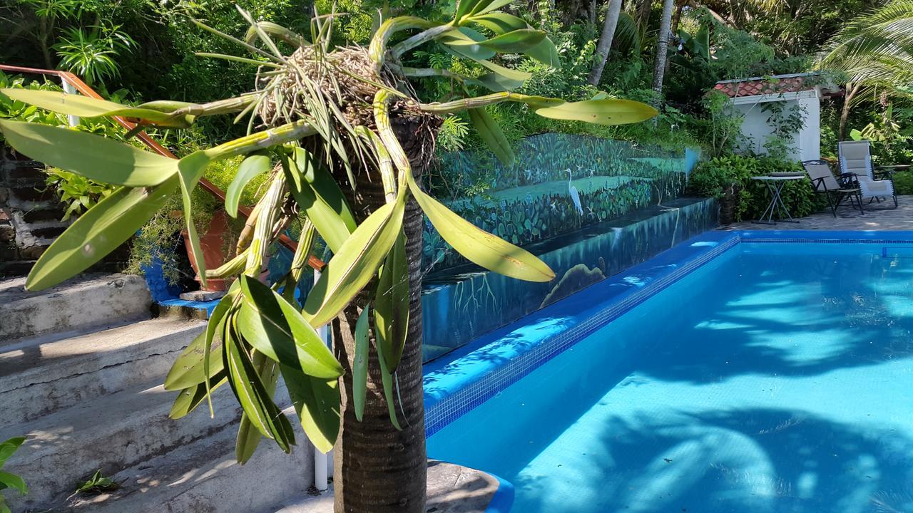 Hotel Villa Paraiso Santo Domingo Exterior photo